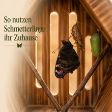 Lade das Bild in den Galerie-Viewer, Handgefertigtes Schmetterlingshaus Tropfenform aus Naturholz