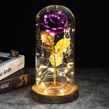 Die ewige Rose - ein Geschenk, das immer leuchtet - Violette Rose