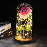 La rosa eterna - un regalo che brilla sempre - Rosa rosa
